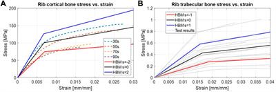 Influences of human thorax variability on population rib fracture risk prediction using human body models